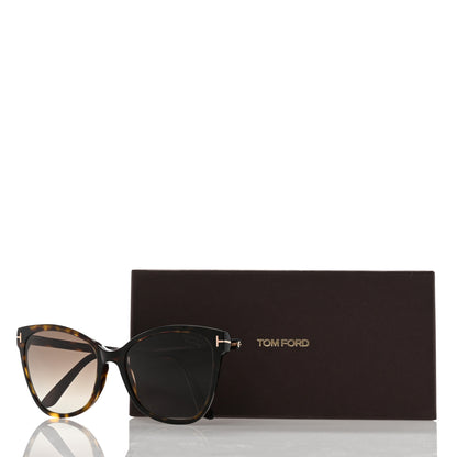 Tom Ford Acetate Polarized Ani Sunglasses TF844 Tortoise 8 of 8