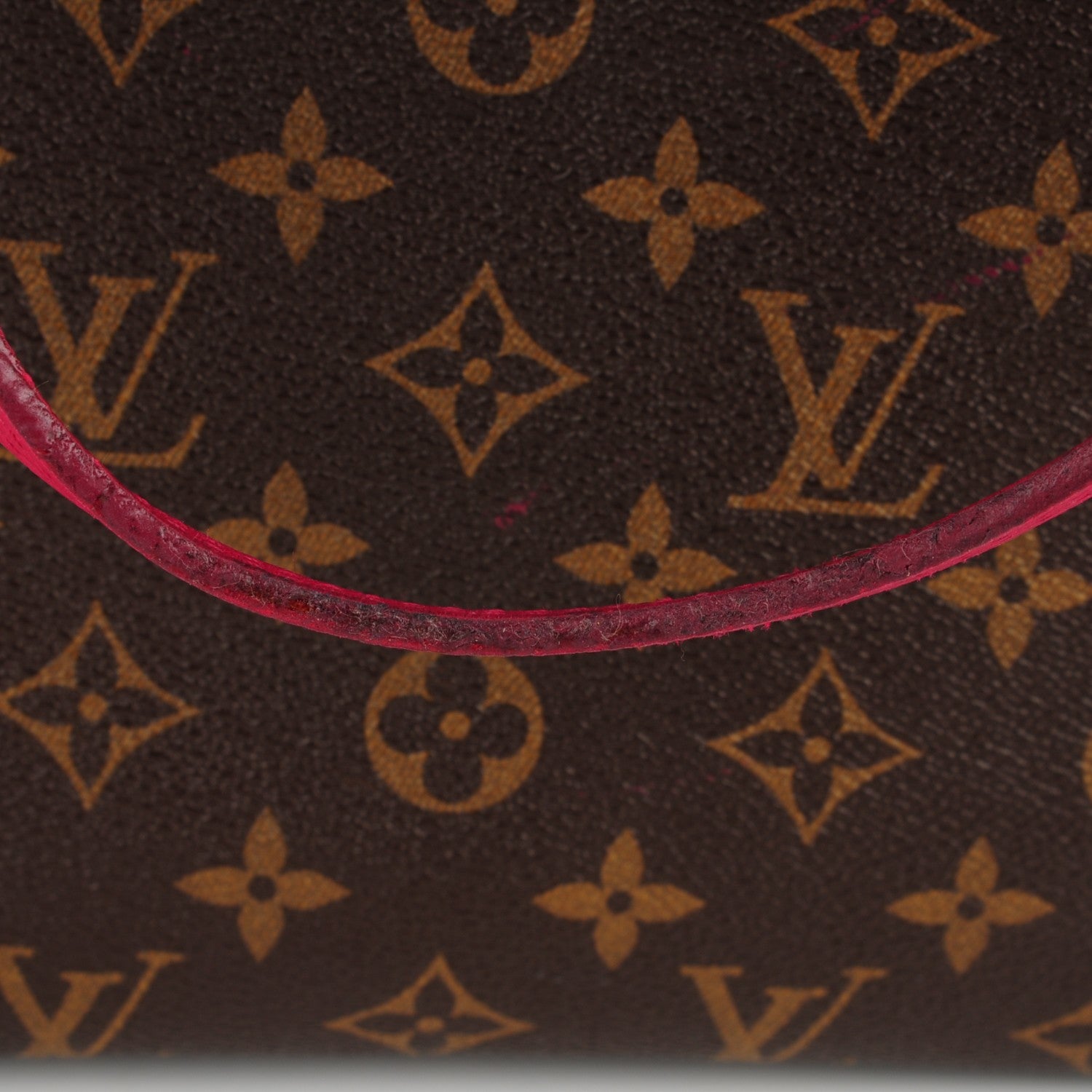 Louis Vuitton Monogram Articles de Voyage Ikat Neverfull MM Rose Indien 11 of 11