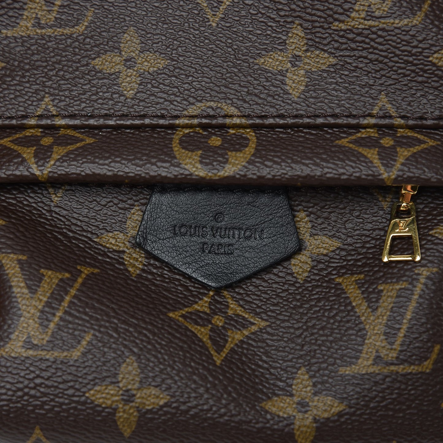 Monogram Palm Springs Backpack Mini