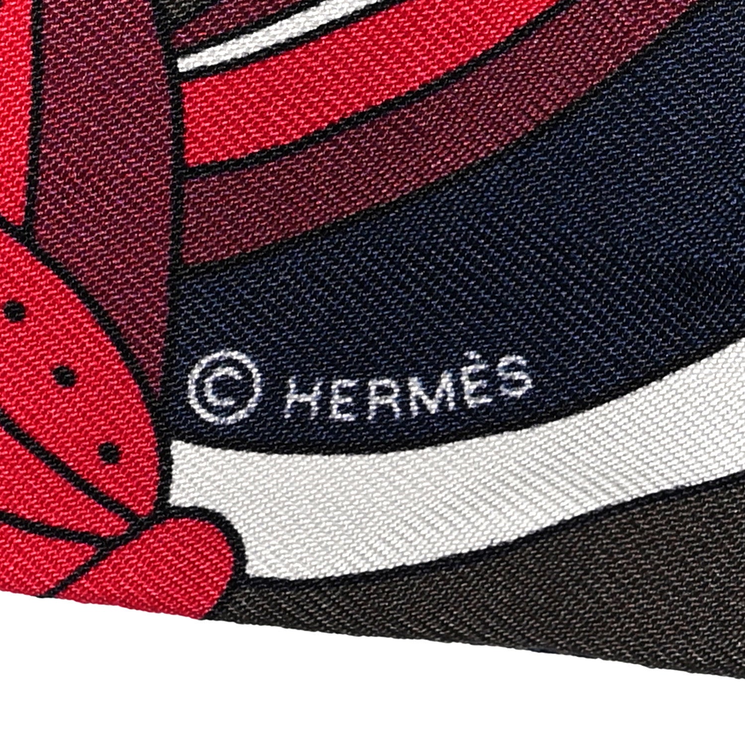 Hermes Silk Le Jardin de la Maharani Twilly 4 of 4
