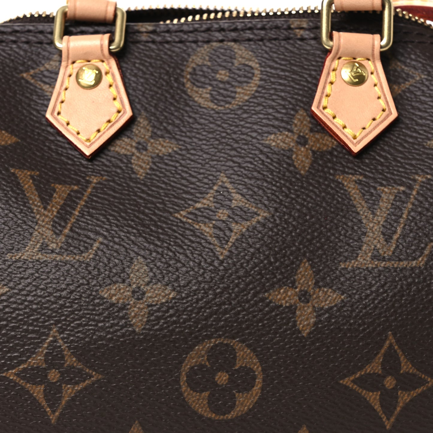 Monogram Nano Speedy