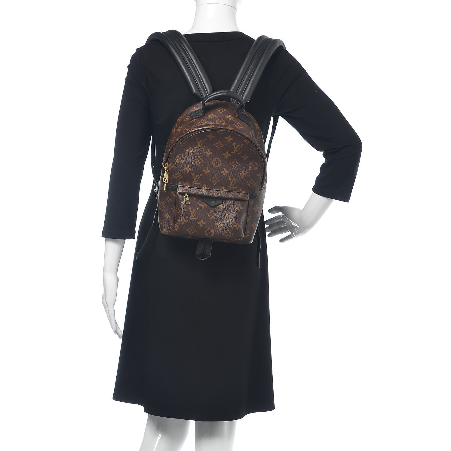 Louis Vuitton Monogram Palm Springs Backpack PM 2 of 12
