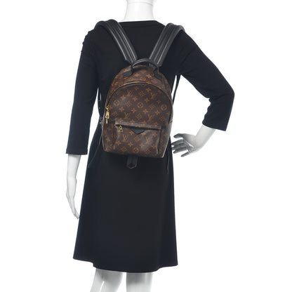 Louis Vuitton Monogram Palm Springs Backpack PM 2 of 12