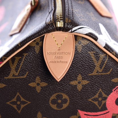 Louis Vuitton Monogram Bay Speedy 30 Rose Ballerine Poppy 7 of 7