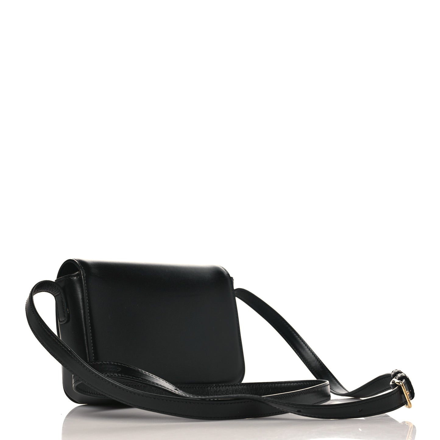 Shiny Calfskin Nano Triomphe Black
