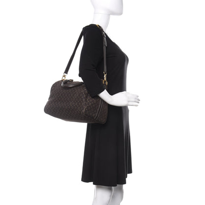Louis Vuitton Monogram Idylle Speedy Bandouliere 30 Fusain 2 of 8