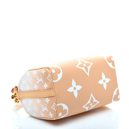 Louis Vuitton Monogram Giant By The Pool Speedy Bandouliere 25 Brume 4 of 11