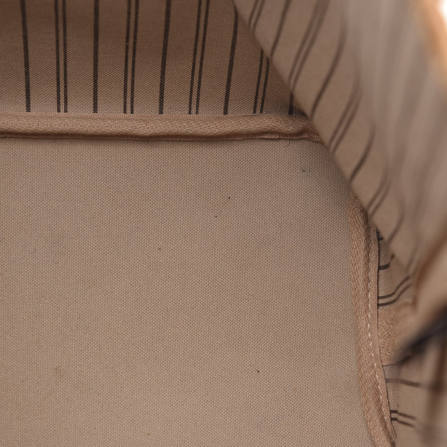 Monogram Neo Neverfull MM