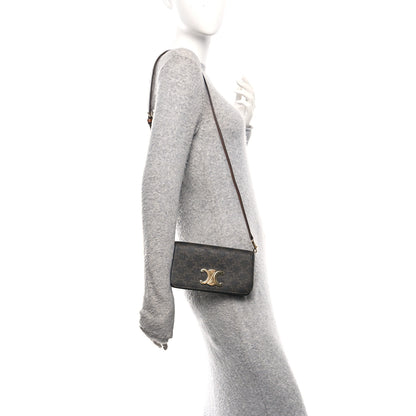 Celine Triomphe Canvas Multipochette Tan 2 of 11