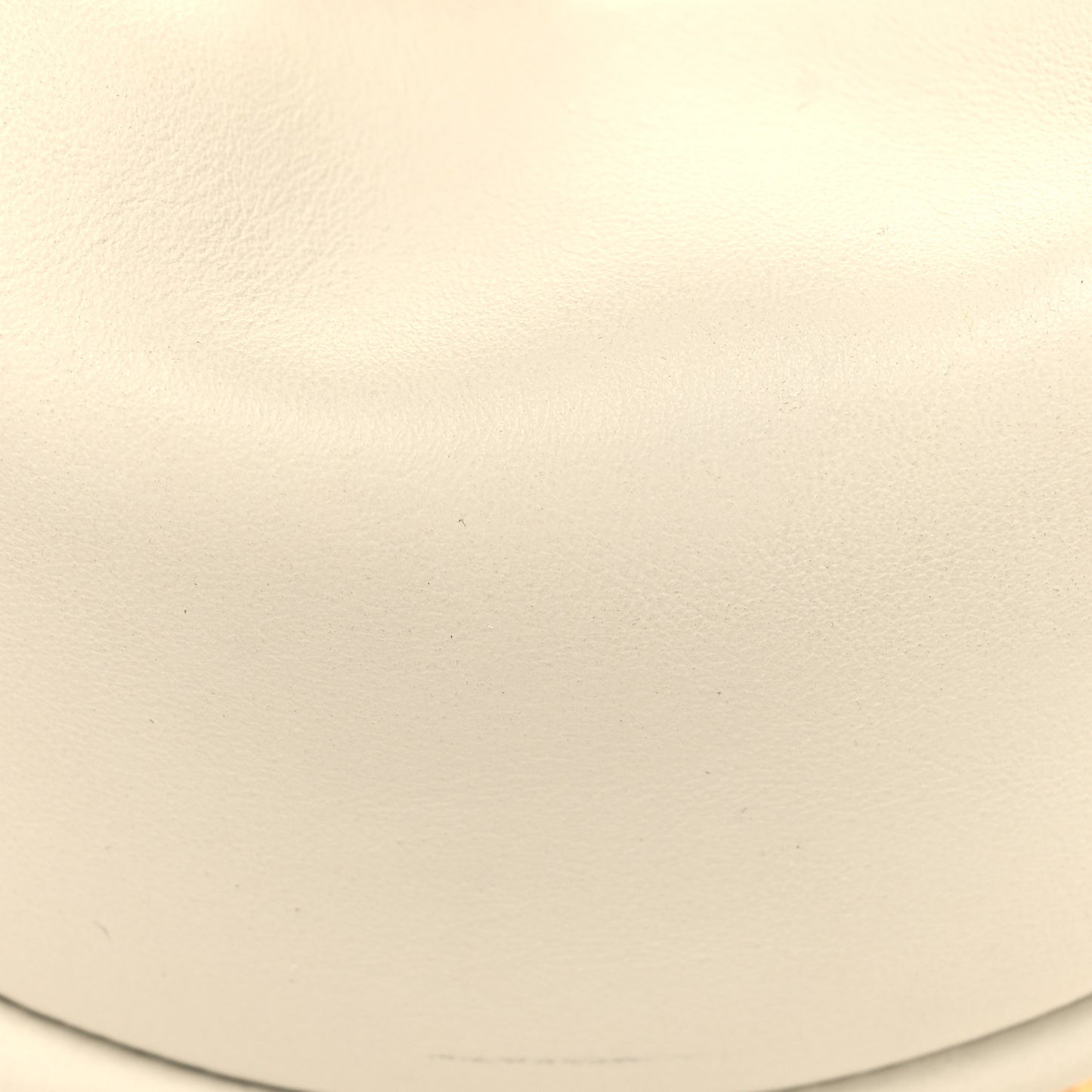 Vitello Grace Matte Nano Fendigraphy Hobo Charm White Ice