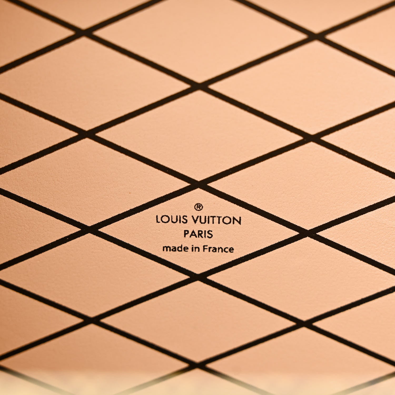 Louis Vuitton Epi Chevron Printed Petite Malle 6 of 10