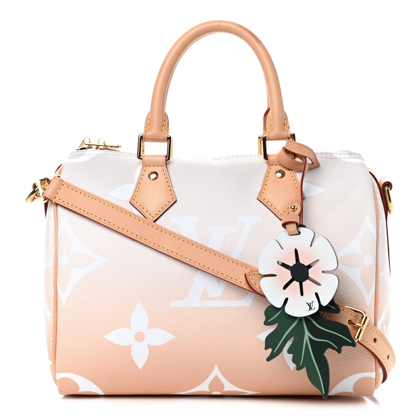 Monogram Giant By The Pool Speedy Bandouliere 25 Brume