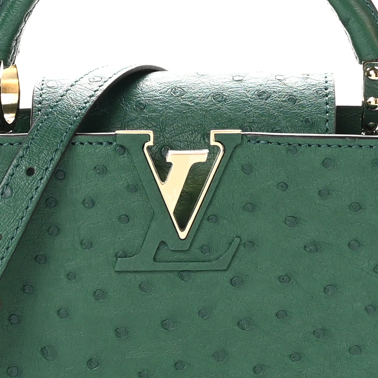 Louis Vuitton Ostrich Capucines Mini Mint 7 of 10