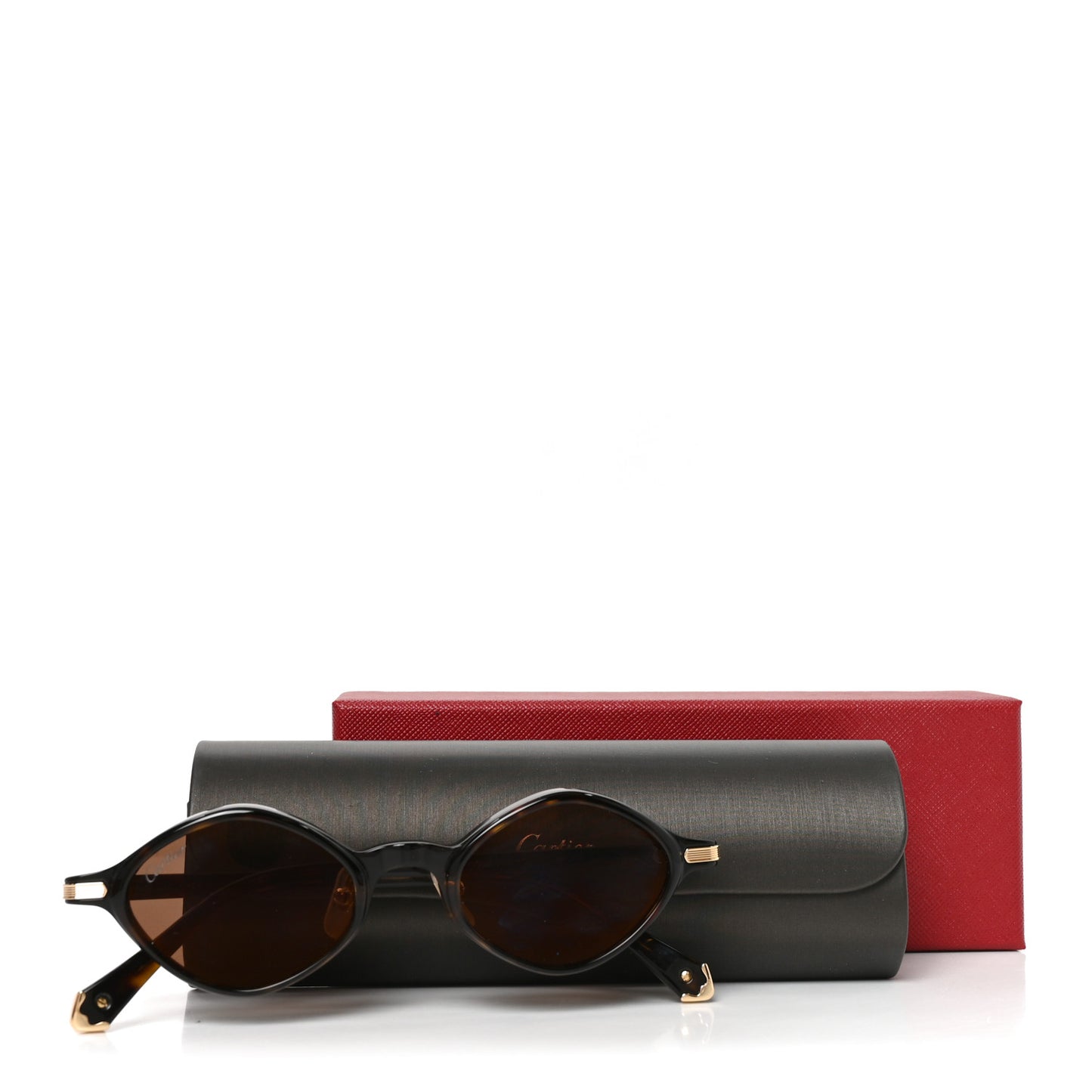 Acetate CT0540S Sunglasses Havana