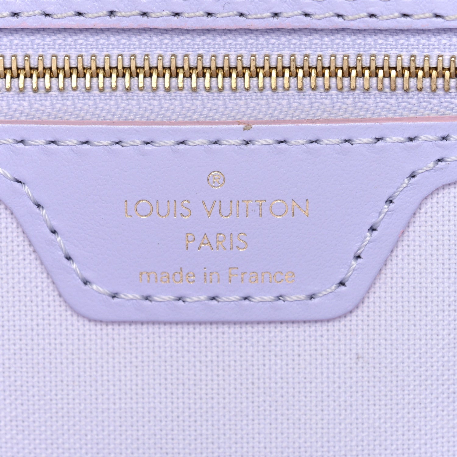Louis Vuitton Monogram Giant Spring In The City Neverfull MM