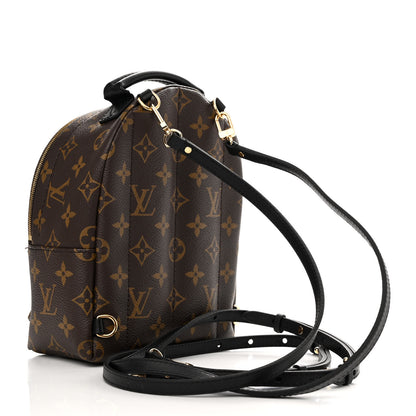 Louis Vuitton Monogram Palm Springs Backpack Mini 3 of 12