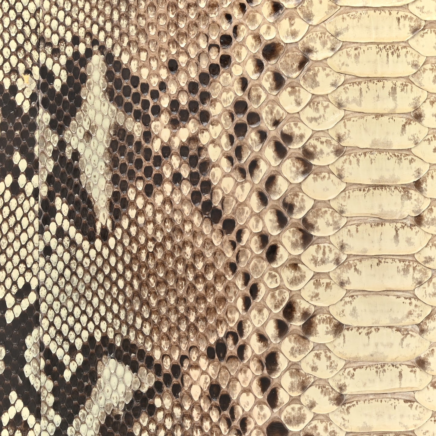 Snakeskin Large Lady Dior Beige