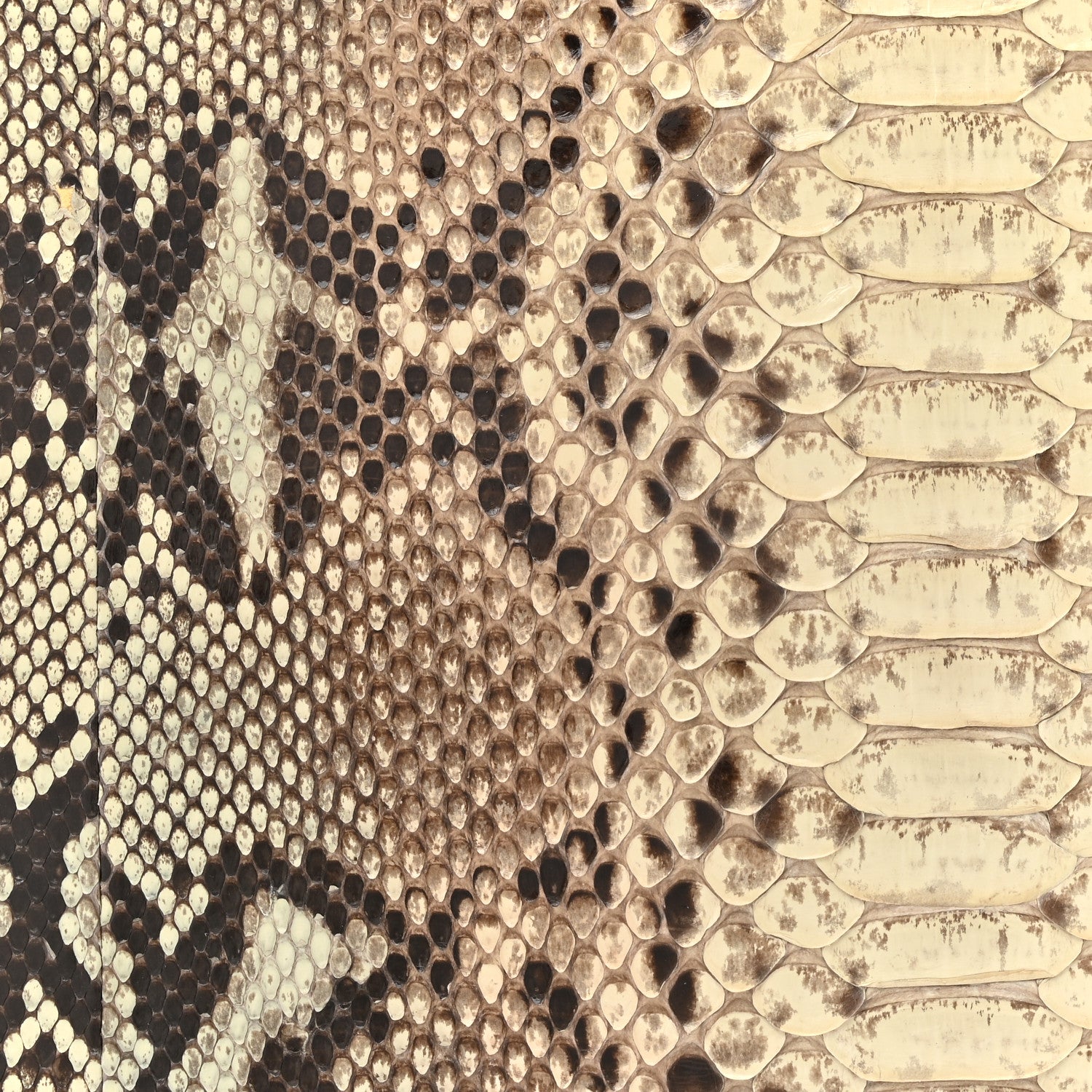 Christian Dior Snakeskin Large Lady Dior Beige 8 of 11