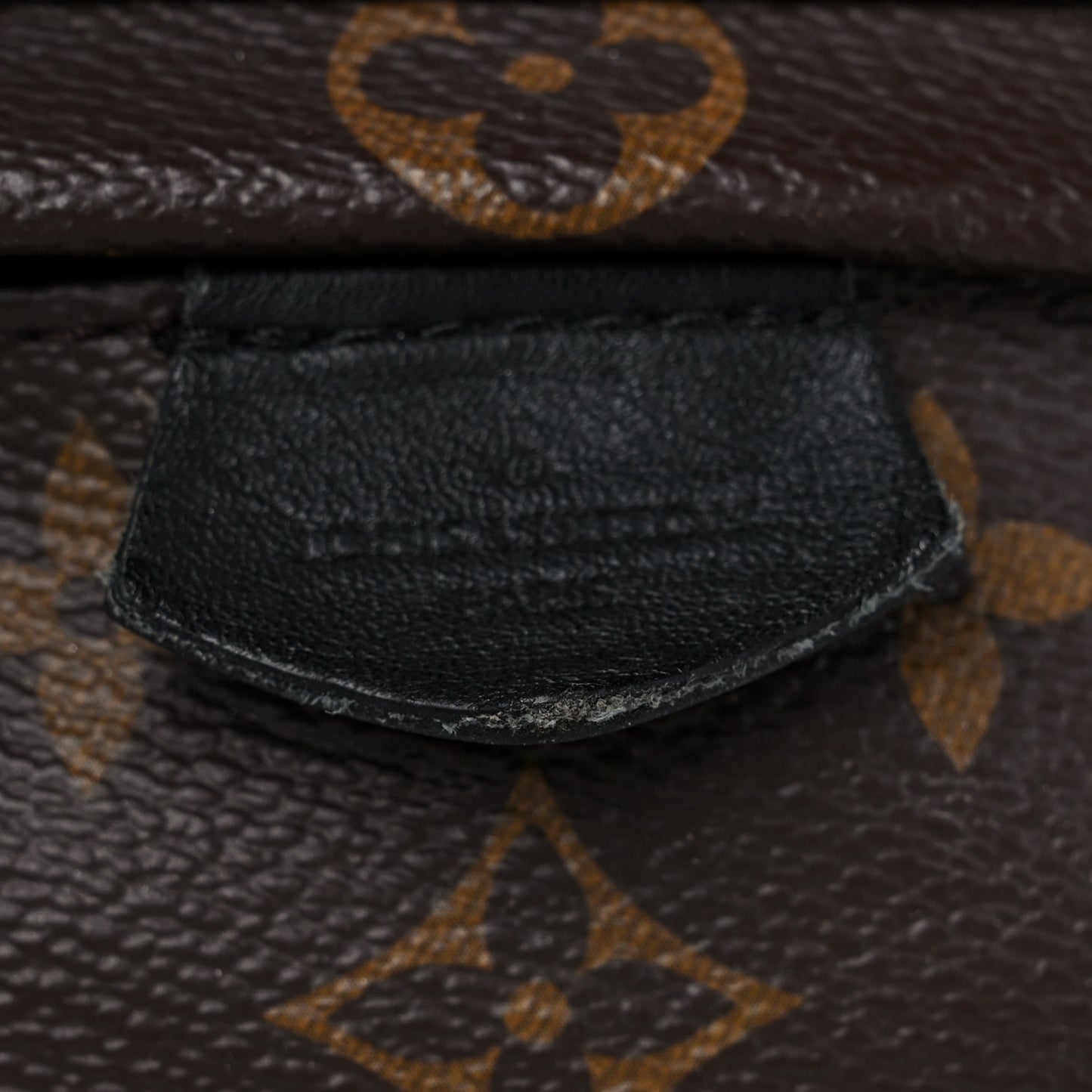 Monogram Palm Springs Backpack Mini