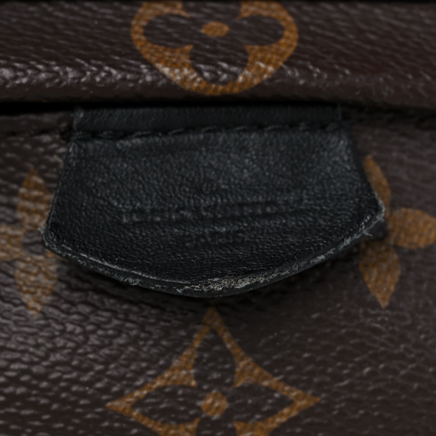 Louis Vuitton Monogram Palm Springs Backpack Mini 14 of 17
