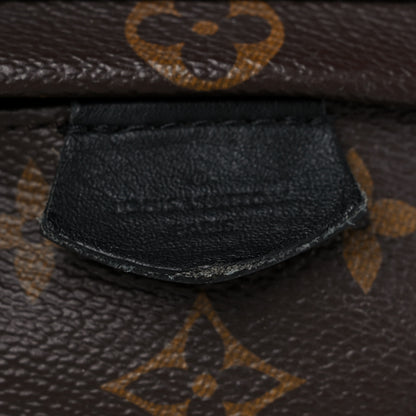 Louis Vuitton Monogram Palm Springs Backpack Mini 14 of 17