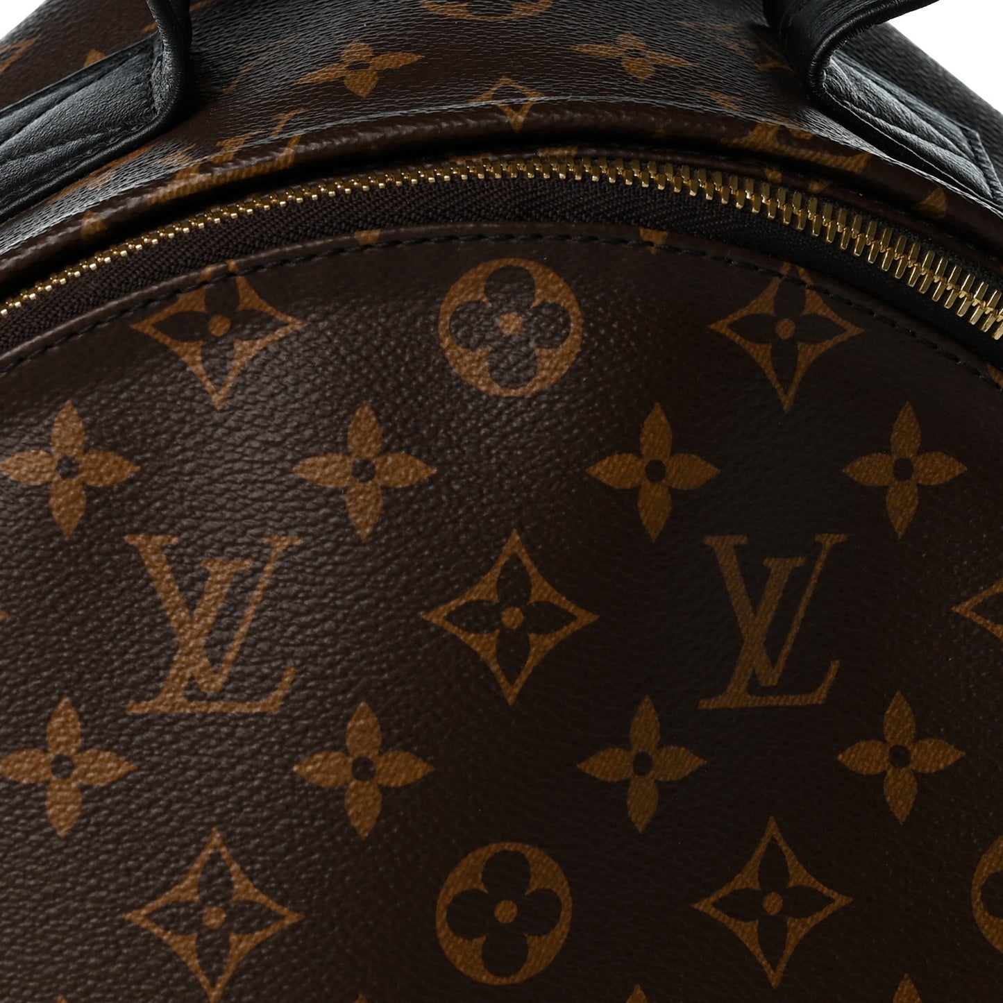 Monogram Palm Springs Backpack MM