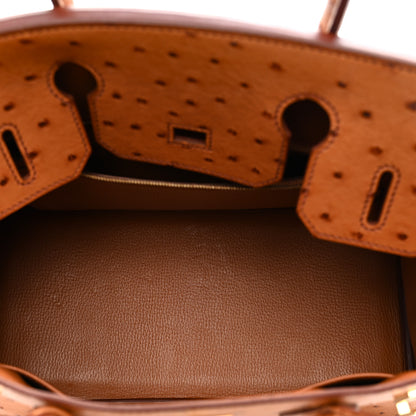 Hermes Ostrich Birkin 30 Cognac 5 of 11
