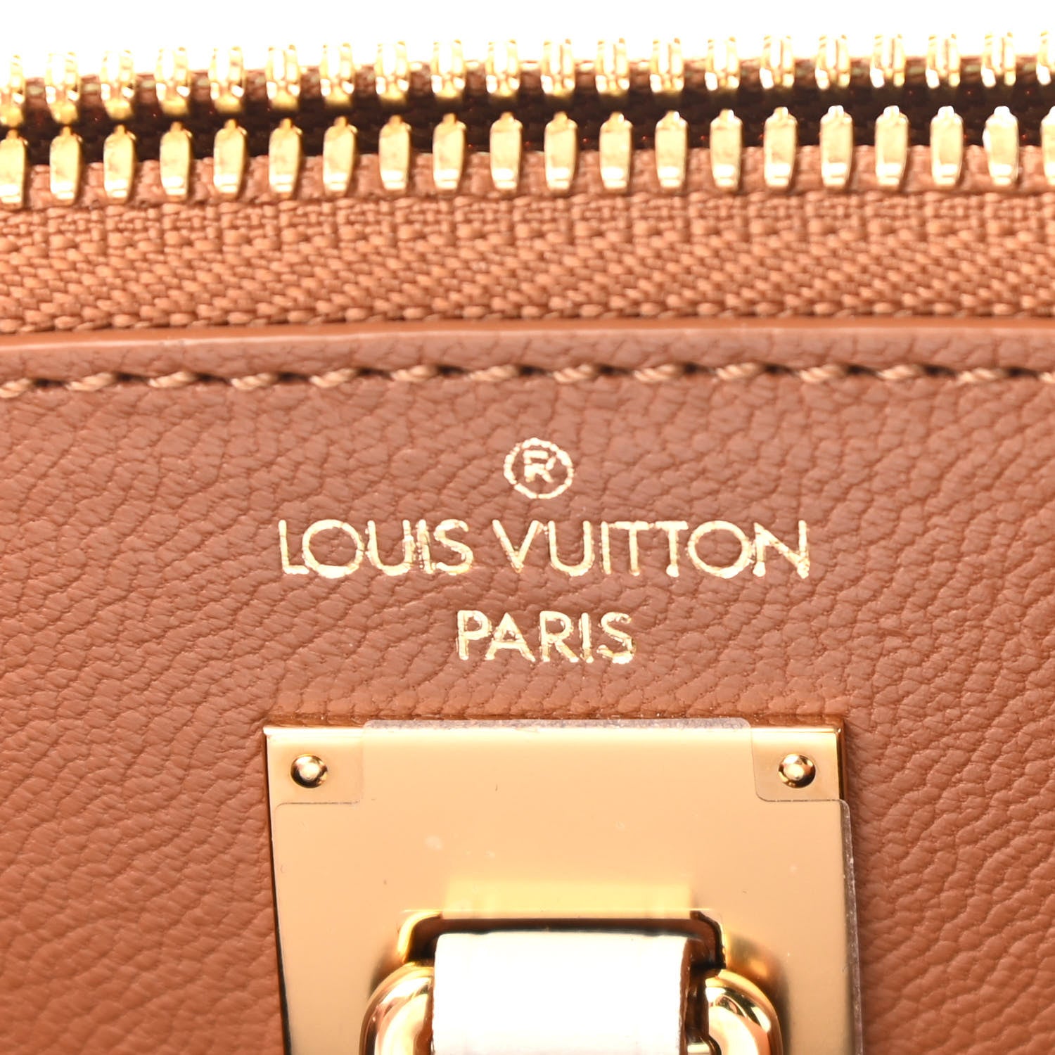 Louis Vuitton Alligator Goatskin City Steamer PM Sienna Brown White 6 of 11