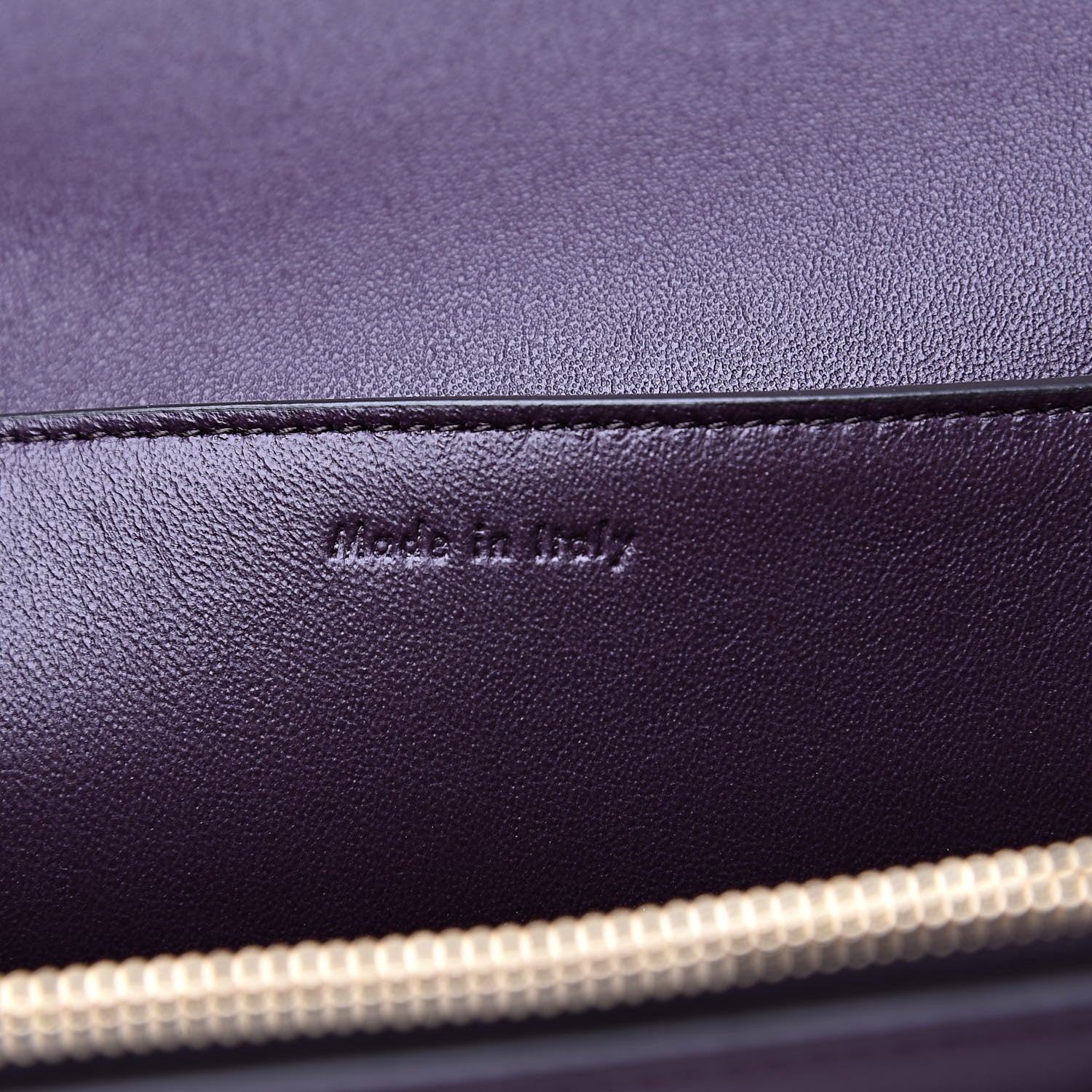 Celine Shiny Smooth Calfskin Medium Frame Shoulder Bag Velvet Desert 6 of 9