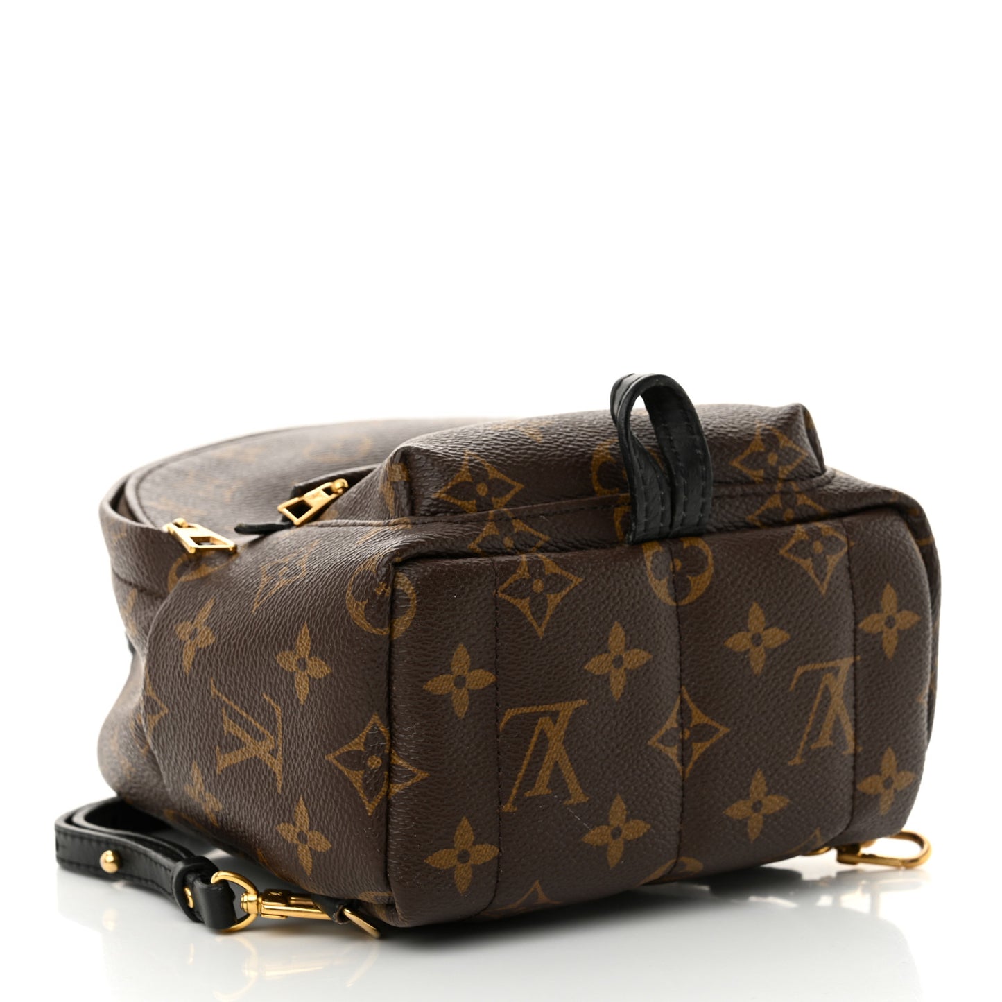 Monogram Palm Springs Backpack Mini