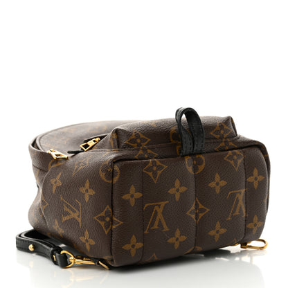 Louis Vuitton Monogram Palm Springs Backpack Mini 4 of 13