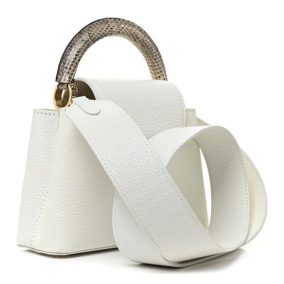 Louis Vuitton Taurillon Ayers Capucines Mini White Snow White 3 of 10