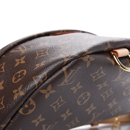 Louis Vuitton Monogram Bumbag 8 of 10