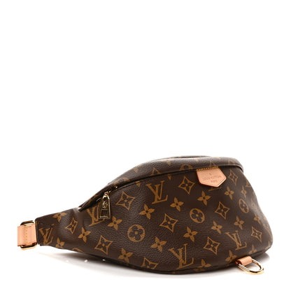 Louis Vuitton Monogram Bumbag 4 of 9