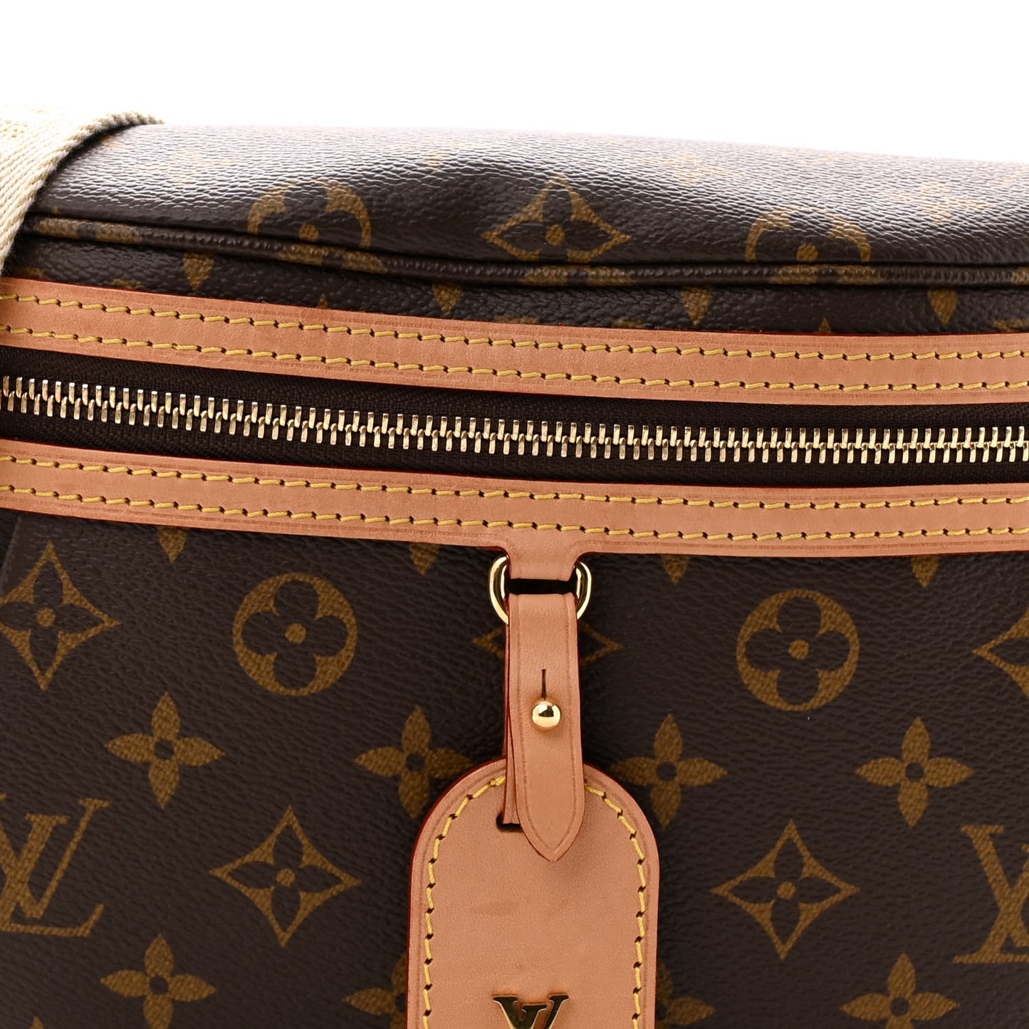 Monogram High Rise Bumbag