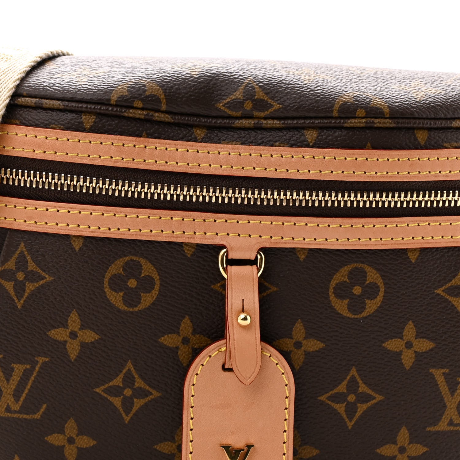 Louis Vuitton Monogram High Rise Bumbag 7 of 11