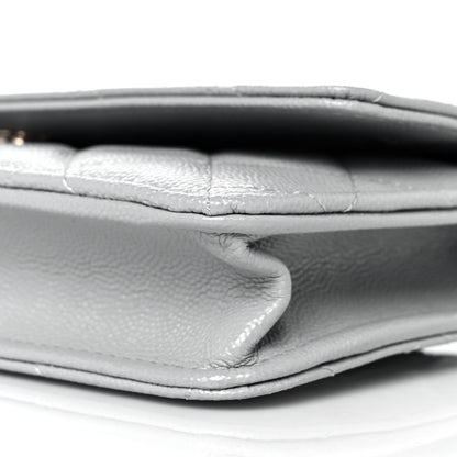 Chanel Caviar Quilted Wallet On Chain WOC Grey 13 of 14
