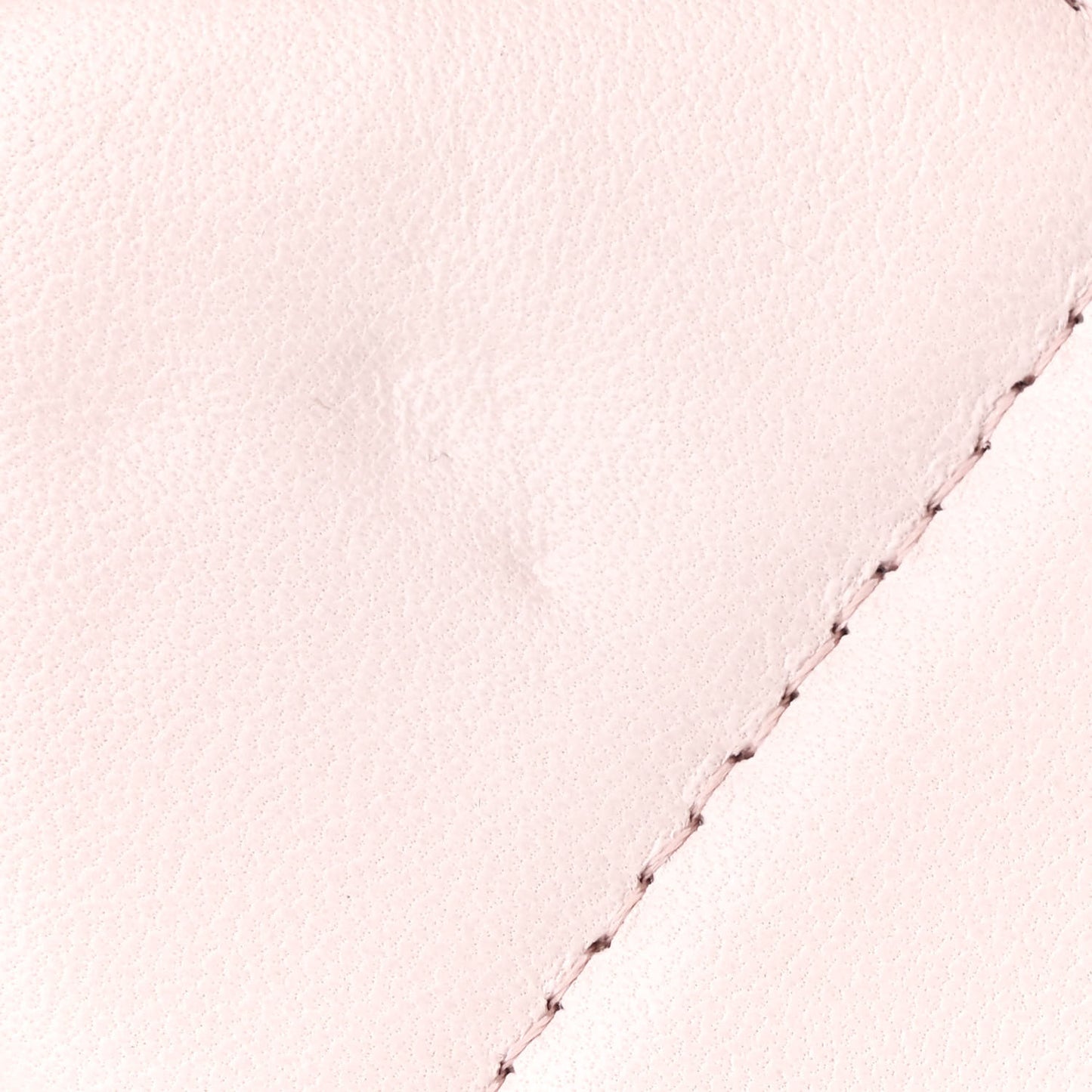 Lambskin Quilted Chanel 19 Wallet On Chain WOC Light Pink