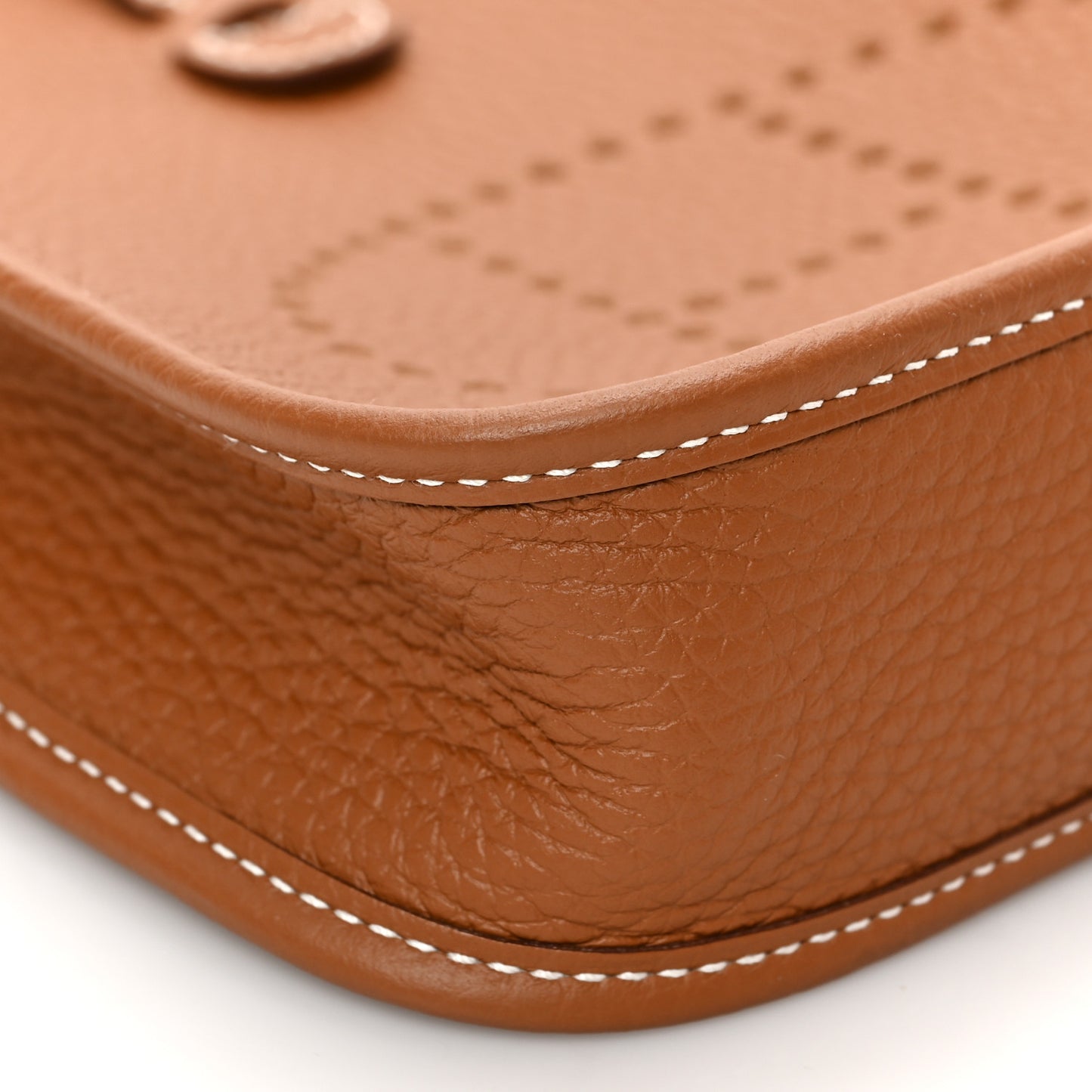 Taurillon Maurice Amazone Evelyne TPM Gold White