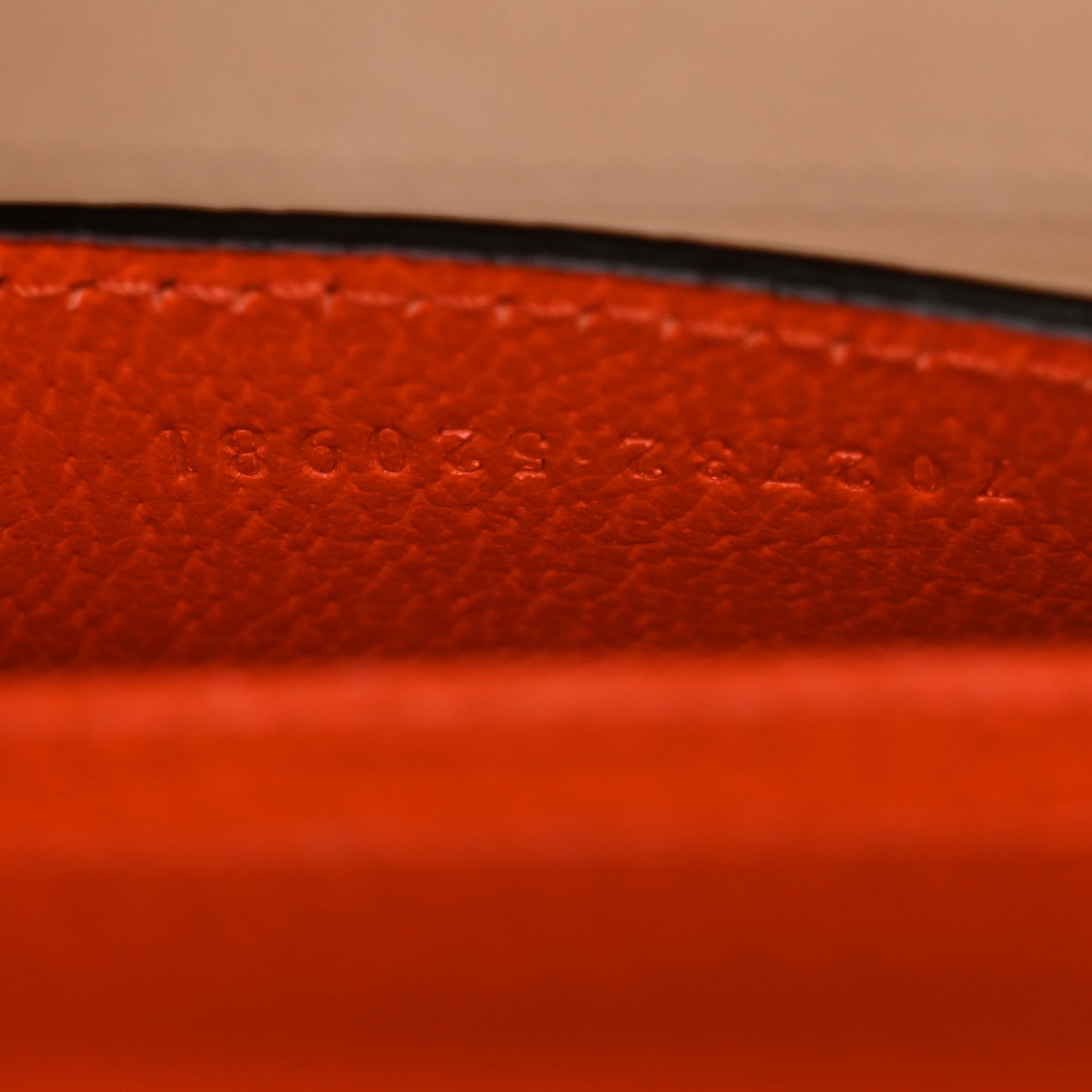 Textured Dollar Calfskin Web Mini Diana Tote Bag Deep Orange Spicy Cyclamin