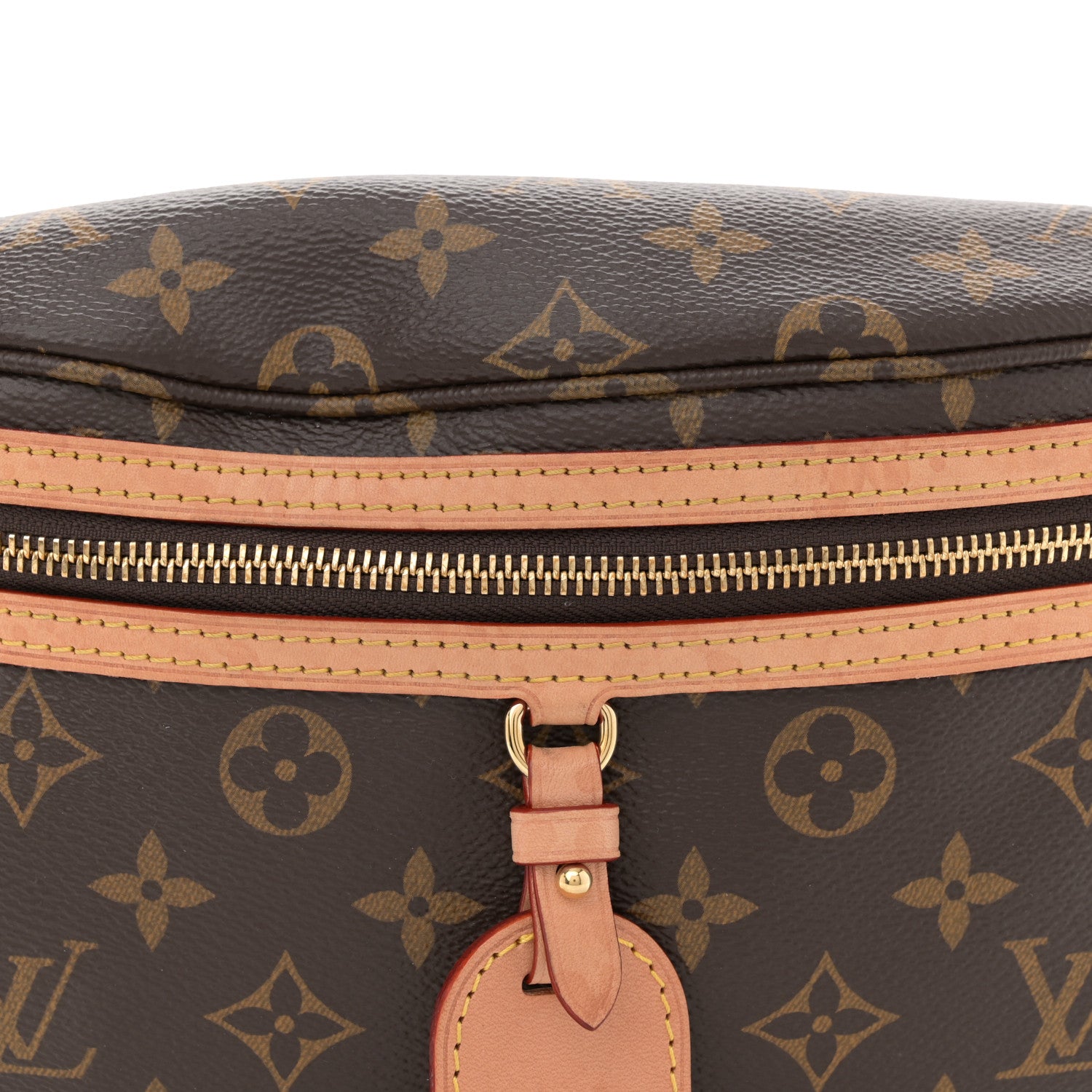 Louis Vuitton Monogram High Rise Bumbag 7 of 11