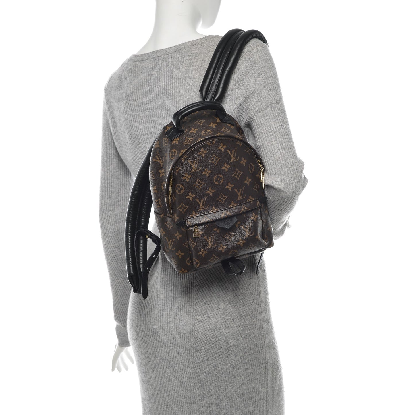 Monogram Palm Springs Backpack PM