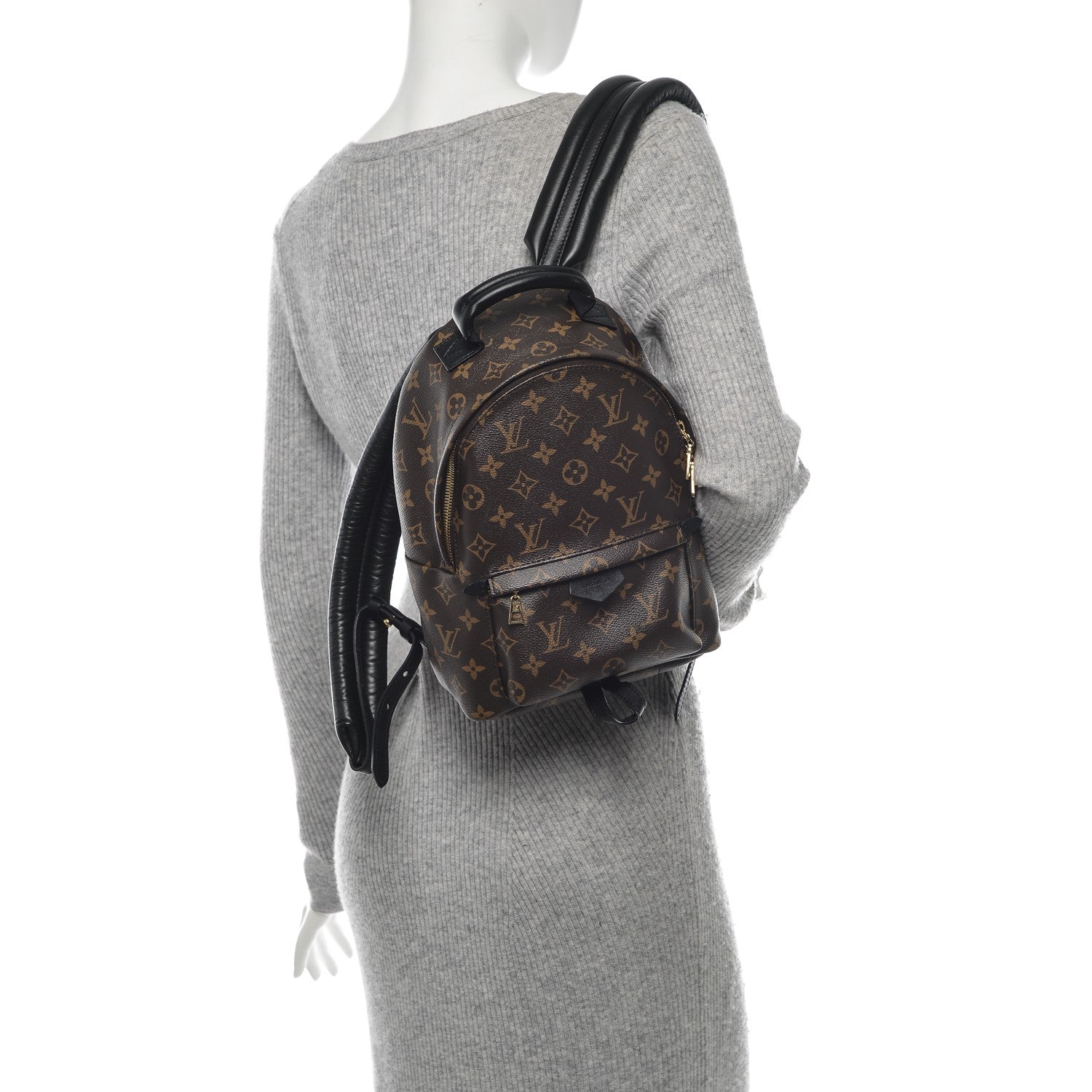 Louis Vuitton Monogram Palm Springs Backpack PM 2 of 6