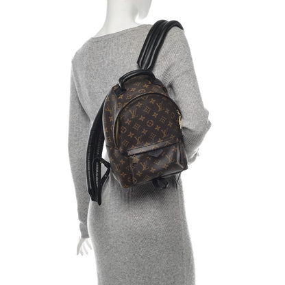 Louis Vuitton Monogram Palm Springs Backpack PM 2 of 6
