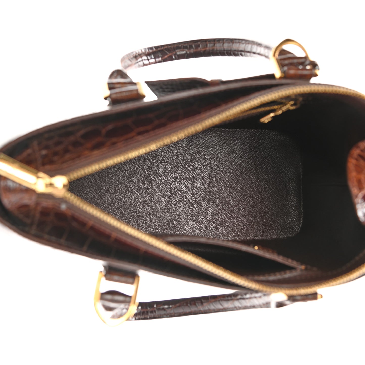 Alligator Lancelot Brown