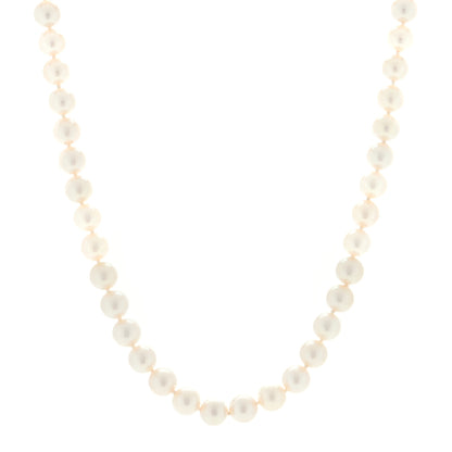 Tiffany 18K White Gold Akoya Pearl 6.5-7mm Essential Necklace 1 of 4