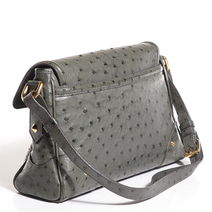 Louis Vuitton Ostrich L'Essentiel Gris 3 of 7
