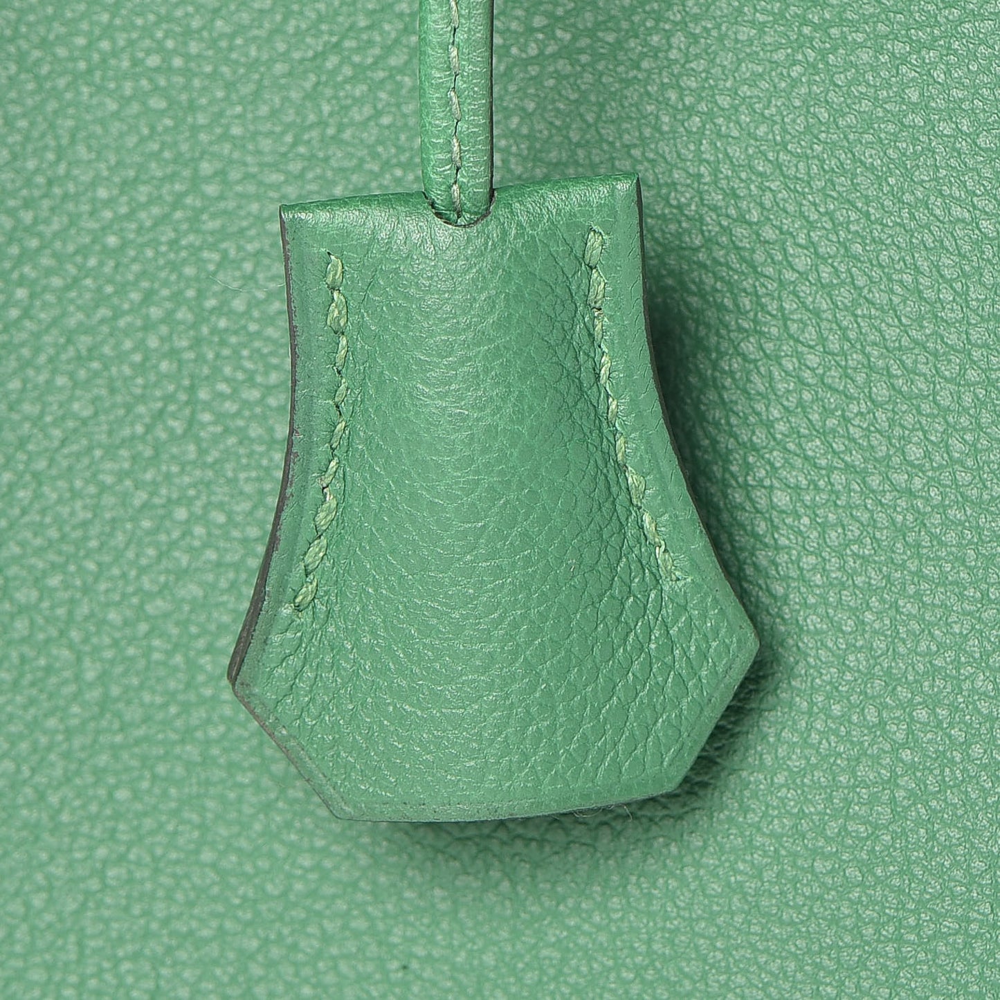 Evercolor Kelly Retourne 32 Cactus