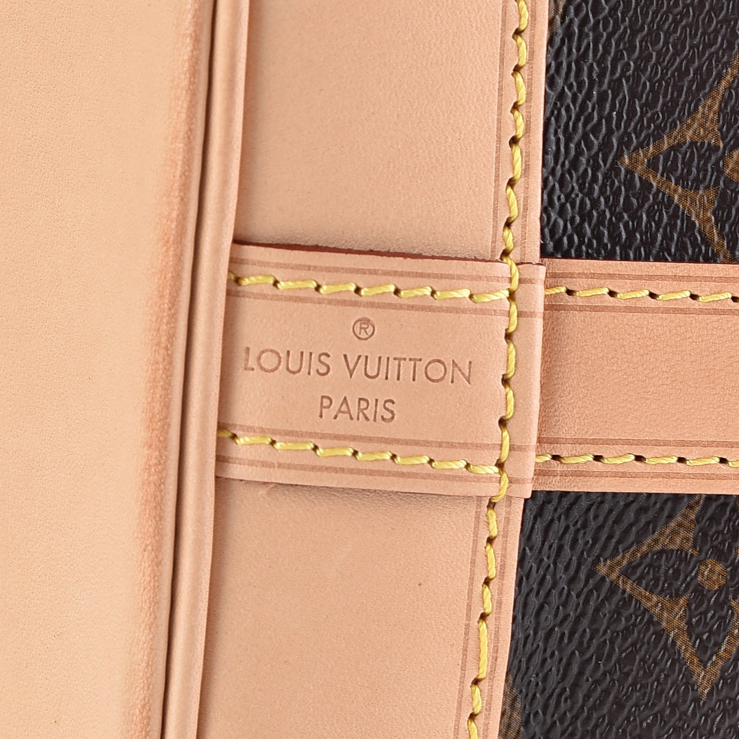 Monogram Petit Noe NM