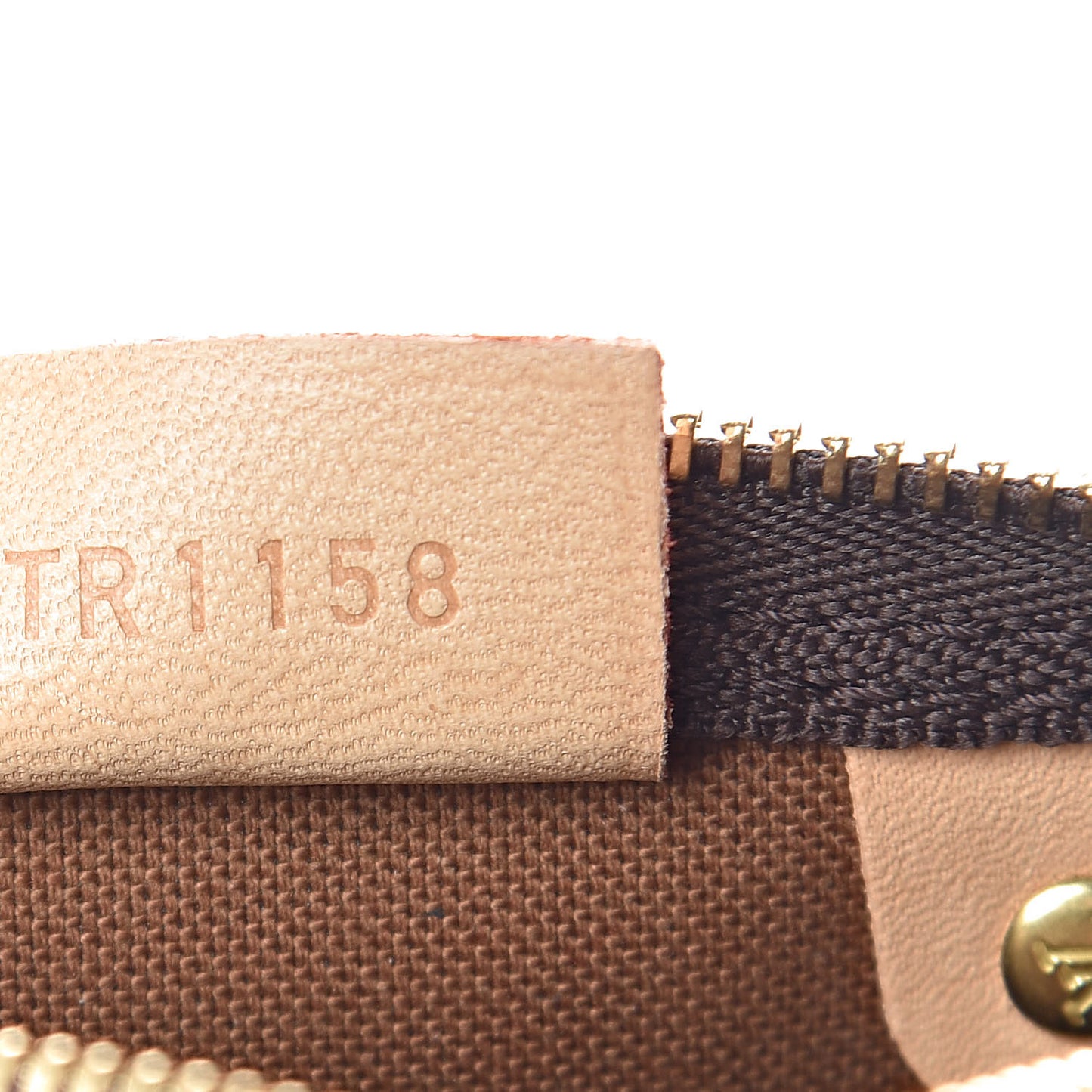 Monogram Nano Speedy